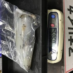 エギング最高！