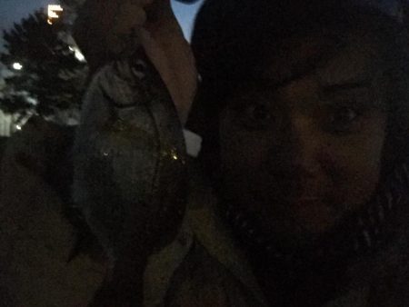 久しぶりの城南島