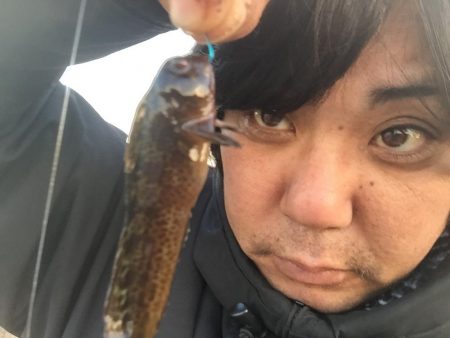 城南島行ってきました。