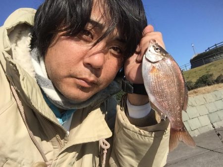 海タナゴ。、爆釣☆