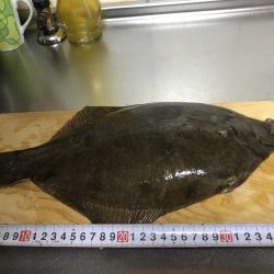 青物のはずが。