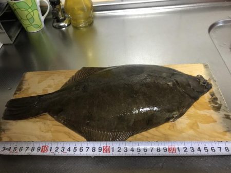 青物のはずが。