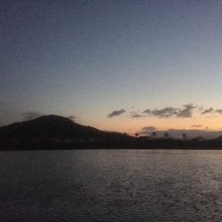 朝まずめのちびヒラメ