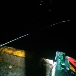 なぎさ公園でアジ、太刀魚狙い