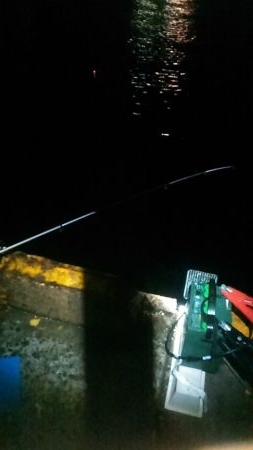 なぎさ公園でアジ、太刀魚狙い