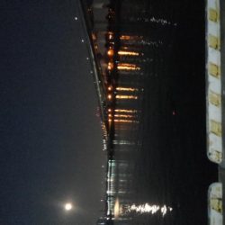 タチウオしか釣れません！