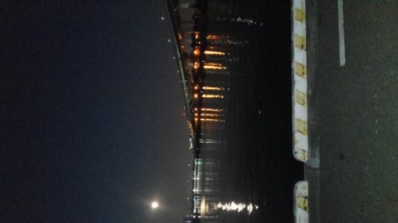 タチウオしか釣れません！