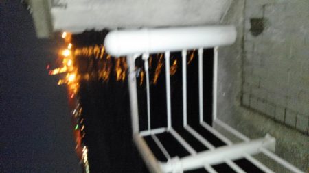 コスモスクエアにて大アジ発見