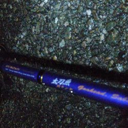 タチウオ もう1本