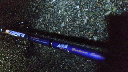 タチウオ もう1本