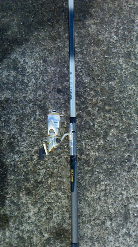 青物は釣れない( ﾉД`)ｼｸｼｸ…