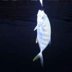 夕暮れ前に渓流ミノーの早引きで