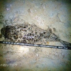 カサゴ沢山ゲット！