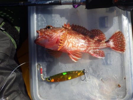 ひさびさカヤックフィッシング