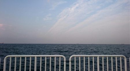 大きいタチウオ１匹