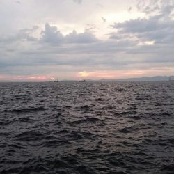 ◯サビキ&タチウオ