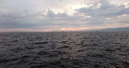 ◯サビキ&タチウオ