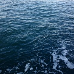 ◯極寒タチウオ釣り