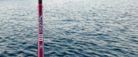 ⚫かもめ大橋タチウオ調査