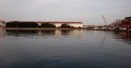 湾奥タチウオ3匹