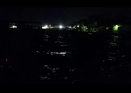 ◯湾奥タチウオ２匹