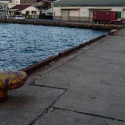 今ｼｰｽﾞﾝ最後の１匹か！？