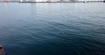 ◯二日ぶりにタチウオ