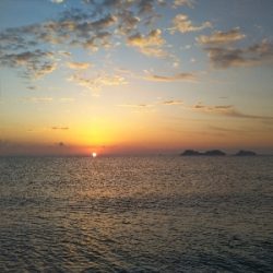 阿南市の那賀川河口でタチウオ