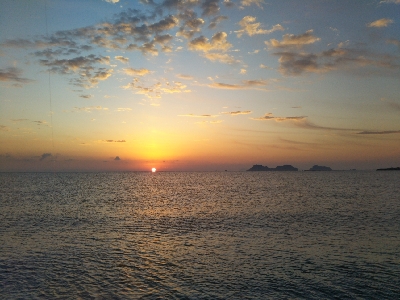 阿南市の那賀川河口でタチウオ