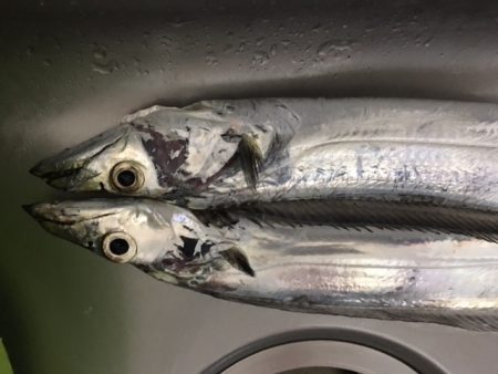 大阪湾奥　渋いがまだまだ