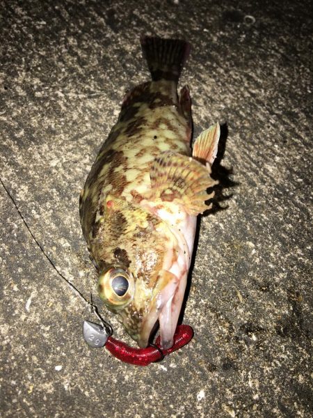 奴らは意外と足元に…