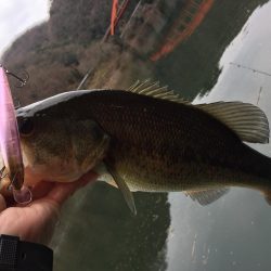 冬のランカーバス