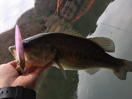 冬のランカーバス