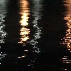 釣れてないところは釣れてない