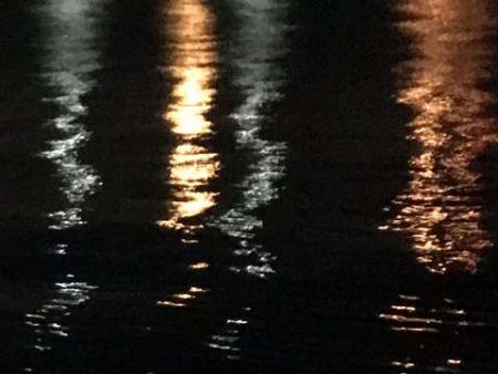 釣れてないところは釣れてない