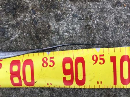 西宮ケーソンでドラゴン…に一歩及ばず(^^;