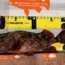 悶絶デカアジング！