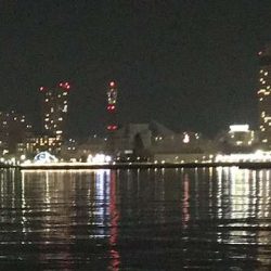 アジ探しからの悶絶！！