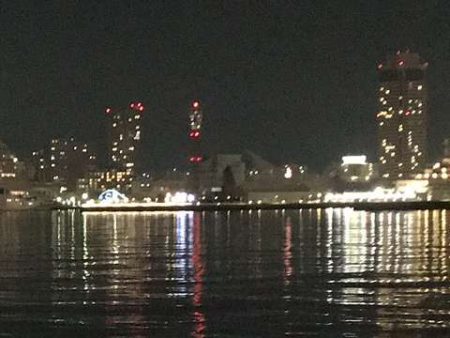 アジ探しからの悶絶！！