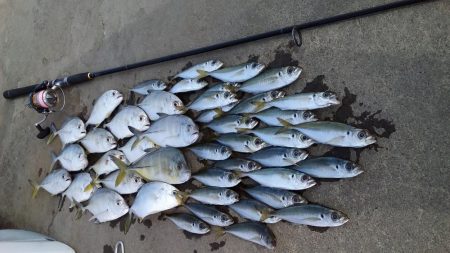 爆風アジングとライトショアジキ