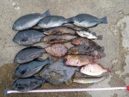 五目釣り ~石ゴカイの強みを再確認~