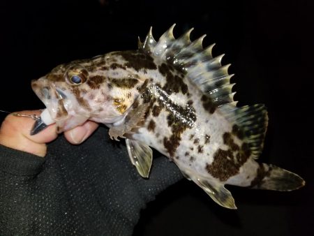 ライトワインド