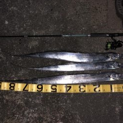 外は爆風、極寒!その中で奴は現れた…