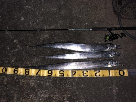 外は爆風、極寒!その中で奴は現れた…