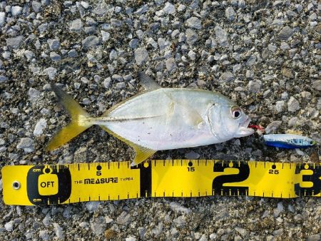 メッキことエバ釣り