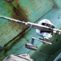 明石名田屋の飲ませ釣り