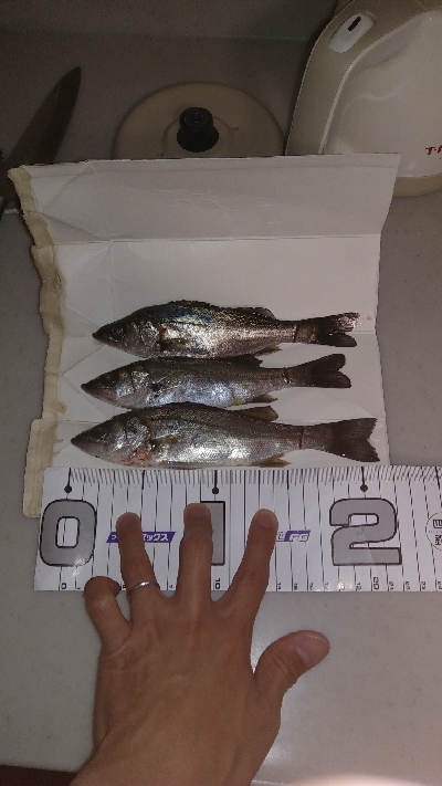 ライトゲームにて