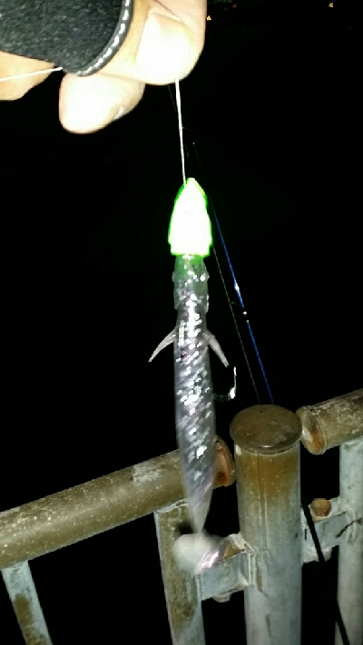 タチウオ、中アジ、クリスマスイブ