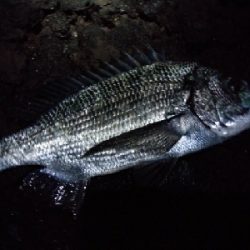 五島で釣り納め