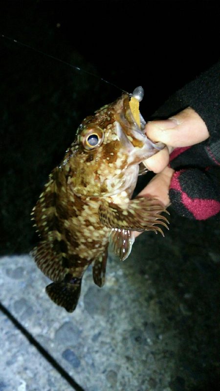 おしゃべりついでにライトゲーム